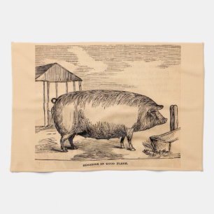 19th century pig print ‘Breeder in Good Flesh’ Kitchen Towel