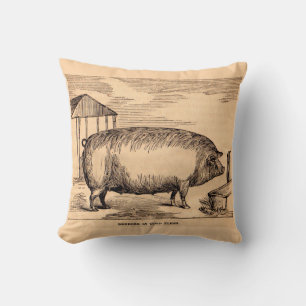 19th century pig print ‘Breeder in Good Flesh’ Throw Pillow