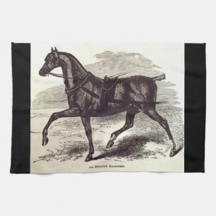 19th century print An English Roadster horse Kitchen Towel