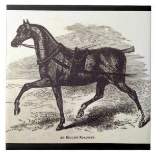 19th century print An English Roadster horse Tile