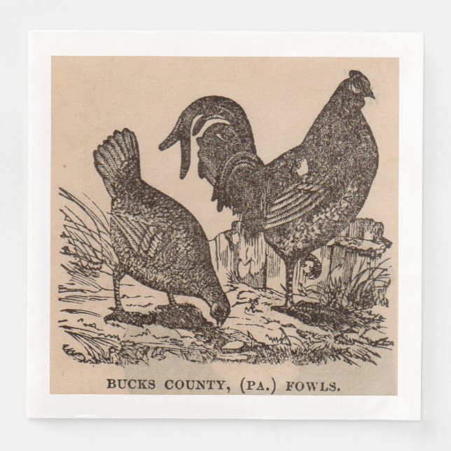 19th century print Bucks County fowls chickens Napkin (Front)