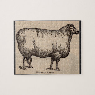 19th century print Cotswold sheep Jigsaw Puzzle