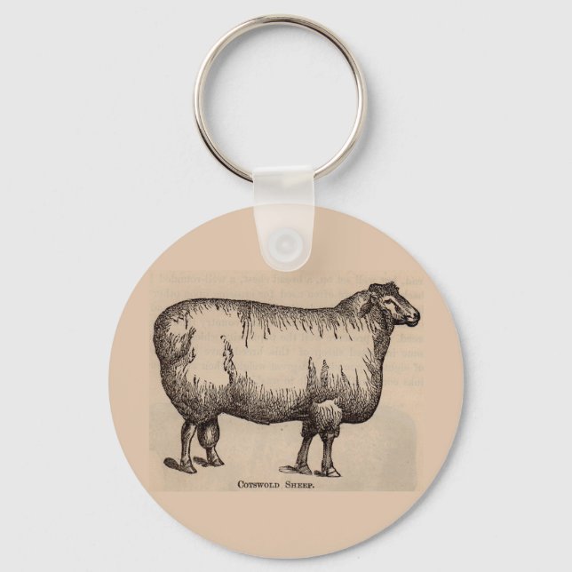 19th century print Cotswold sheep Keychain (Front)