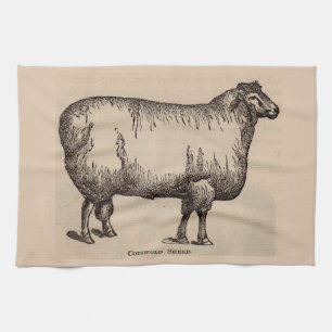 19th century print Cotswold sheep Kitchen Towel
