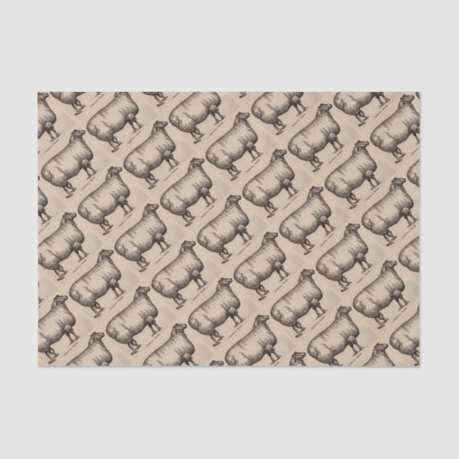 19th century print Cotswold sheep Tissue Paper (Front)