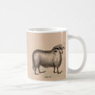 19th century print Dorset ram Coffee Mug
