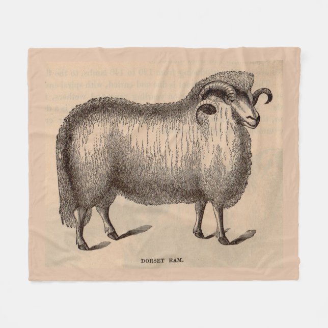 19th century print Dorset ram Fleece Blanket (Front (Horizontal))