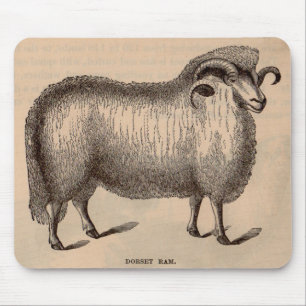 19th century print Dorset ram Mouse Pad