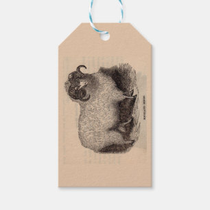 19th century print Highland sheep Gift Tags