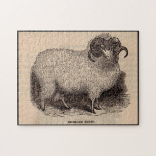 19th century print Highland sheep Jigsaw Puzzle