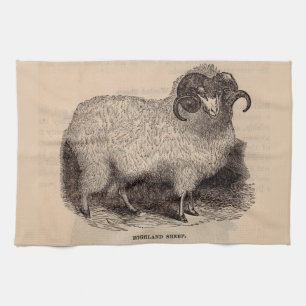 19th century print Highland sheep Kitchen Towel