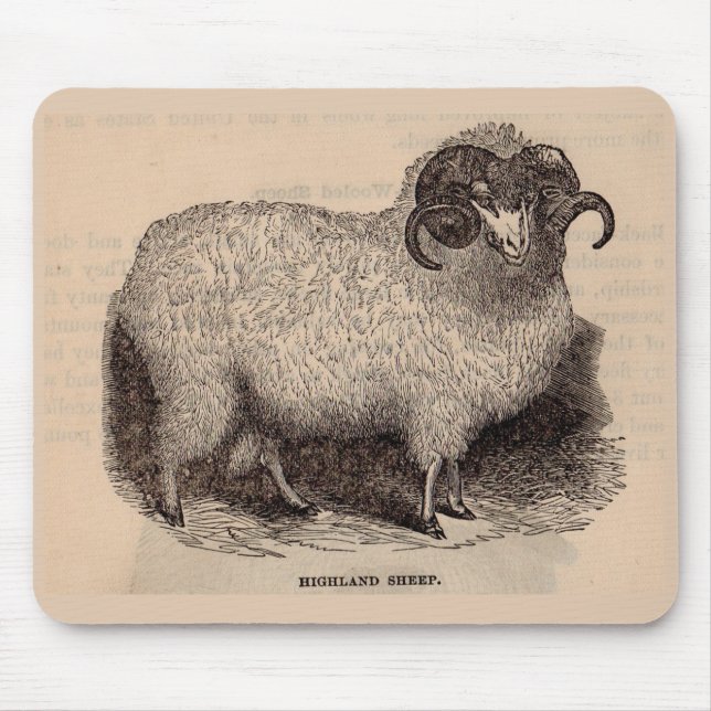 19th century print Highland sheep Mouse Pad (Front)