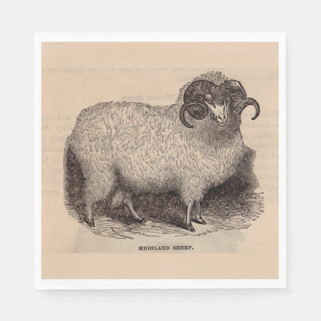 19th century print Highland sheep Napkin (Front)