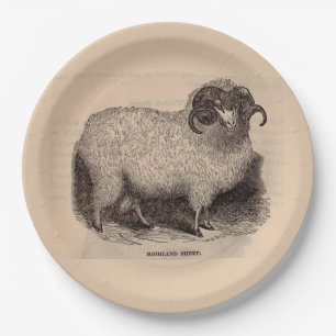 19th century print Highland sheep Paper Plate