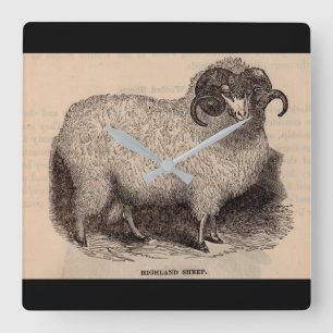 19th century print Highland sheep Square Wall Clock