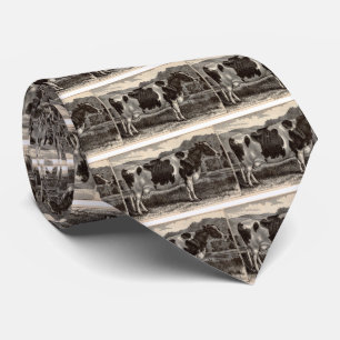 19th century print Holstein cow Tie
