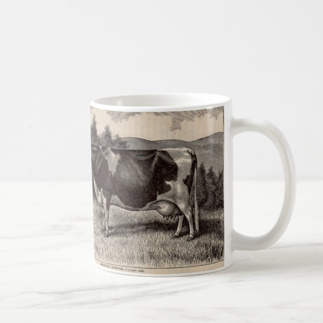 19th century print Holstein heifer Coffee Mug (Right)