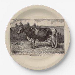 19th century print Holstein heifer Paper Plate