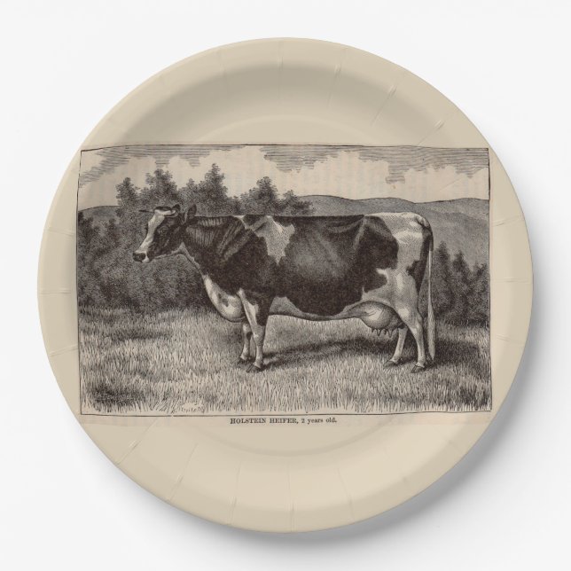 19th century print Holstein heifer Paper Plate (Front)