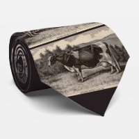 19th century print Holstein heifer 