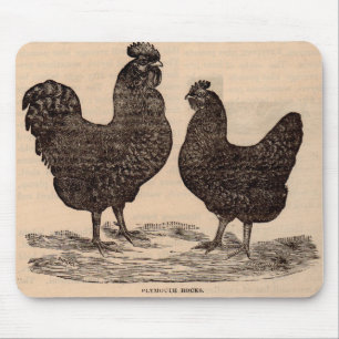 19th century print Plymouth Rock hen and rooster Mouse Pad