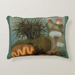 19th century print sea anemones accent pillow