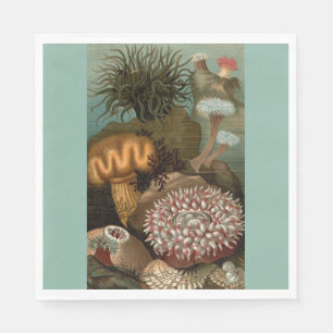 19th century print sea anemones napkin