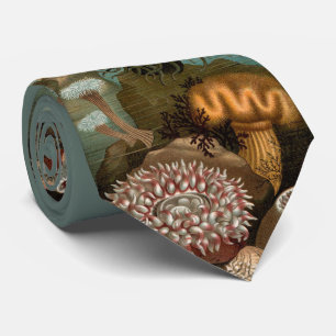 19th century print sea anemones tie