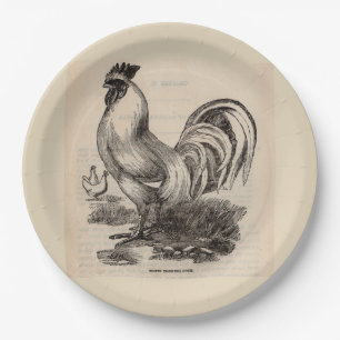 19th century print white Dorking rooster Paper Plate