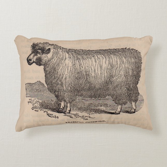 19th century print yearling Cotswold sheep Decorative Pillow (Front)