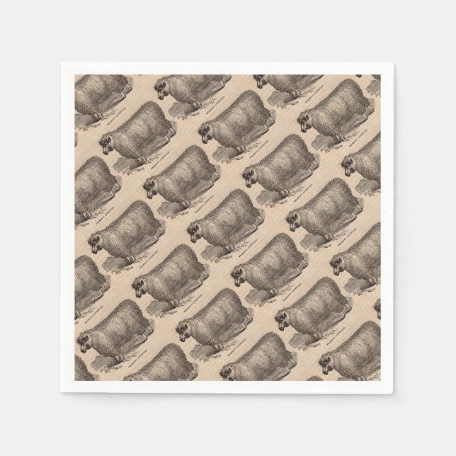 19th century print yearling Cotswold sheep Napkin (Front)