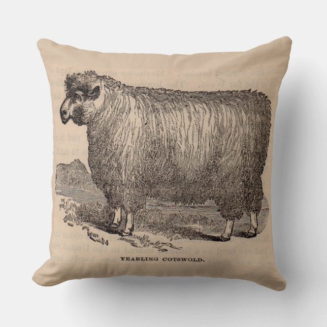 19th century print yearling Cotswold sheep Throw Pillow (Front)