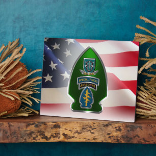 19th Special Forces Group (AIRBORNE) Plaque
