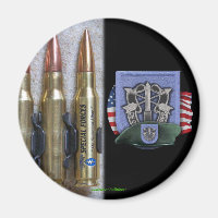 19th special forces group  flash crest iraq vets m
