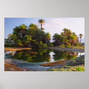 1,000,000 Years B.C. Poster