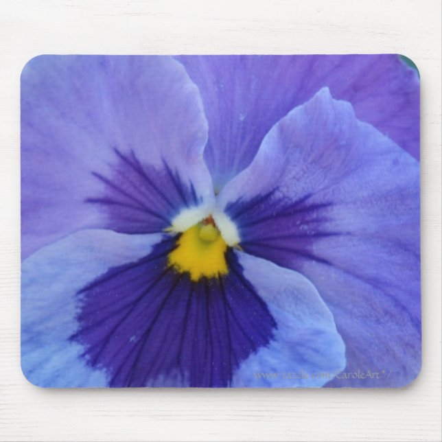 1 Blue Beauty Pansy Mouse Pad (Front)