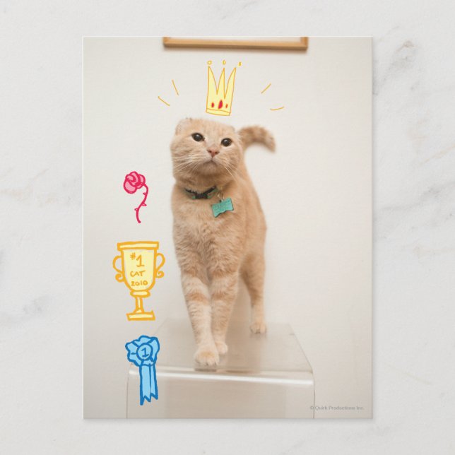 #1 Cat Postcard (Front)