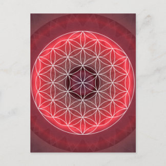 1 Chakra Flower of Life red Postcard