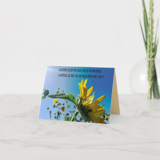 1 Cor3:7 Dieu fait pousser les choses tournesol