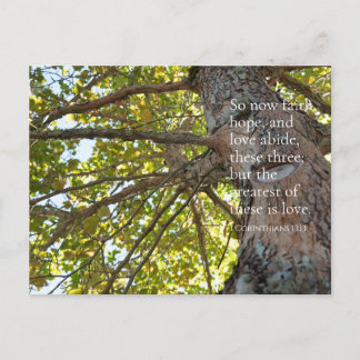 1 Corinthians 13:13 Tree Branches Postcard