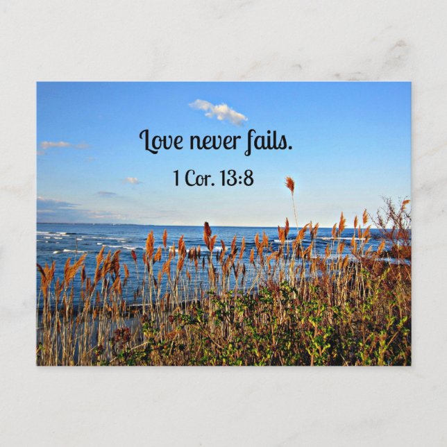 1 Corinthians 13:8 Love never fails. Postcard (Front)