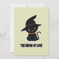 1.cute beautiful black cat meow of love  