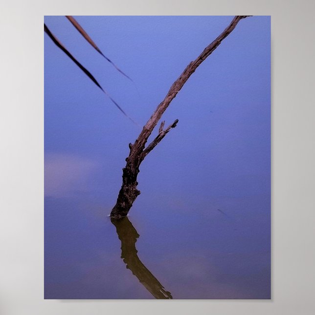 #1-Etang de Scamandre en Camargue.  Poster (Front)