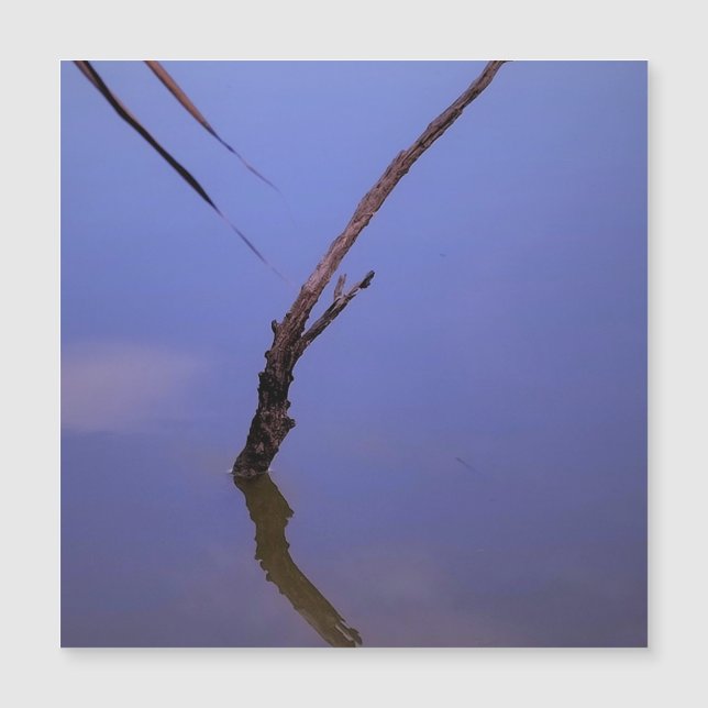 #1-Etang from Scamandre to Camargue. Magnet (Front)