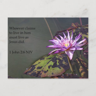 1 John 2:6 Purple Pond Lily Scripture Post Card