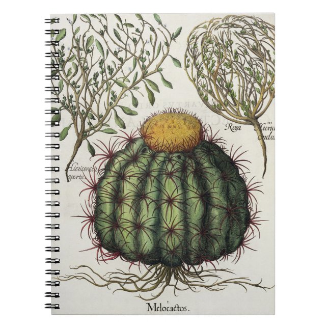 1.Melocactus; 2.Rosa Hiericontea aperta; 3.Rosa Hi Notebook (Front)