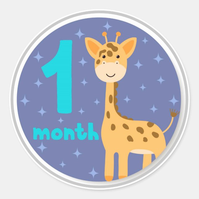 1 Month Baby Milestone Classic Round Sticker (Front)