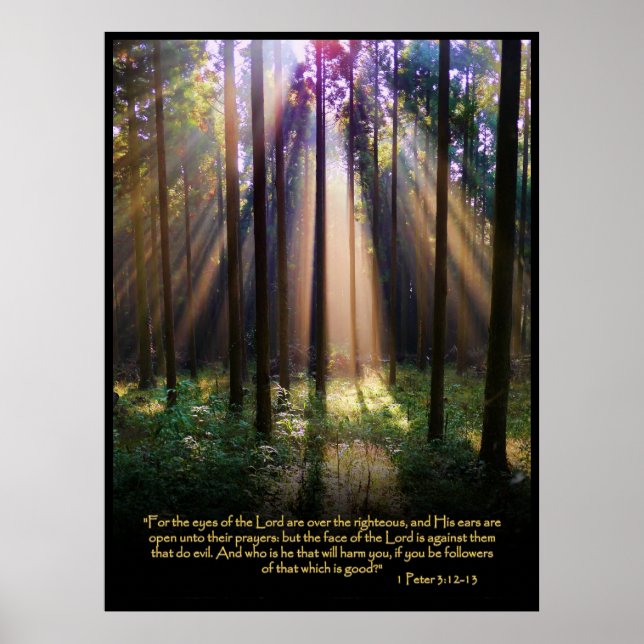 1 Peter 3:12-13 Christian Bible Verse Poster (Front)