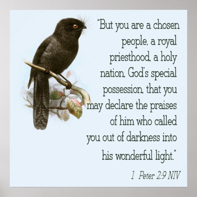 1 Pierre 2:9 Écriture chrétienne Poster Bible Vers (Devant)