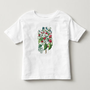 1.Solanum Pomiferum; 2.Amaracus vulgaris, from the Toddler T-shirt